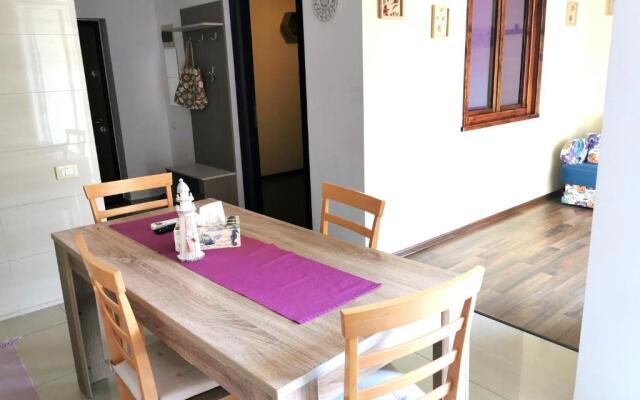 Studio Erin Eforie Nord