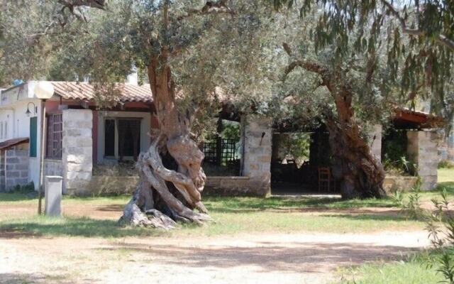 Scalilla - L'Agriturismo