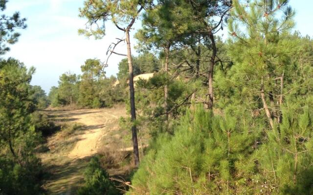 Les Appartements du 104