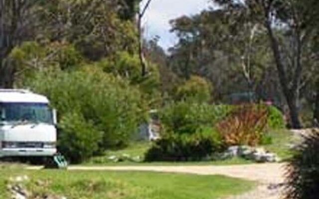 Scamander Tourist Park