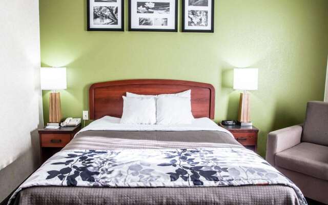 Sleep Inn & Suites Allendale