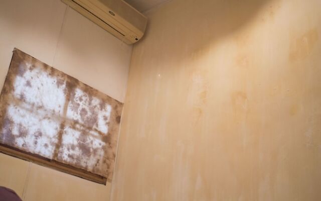 WildTrack Studio