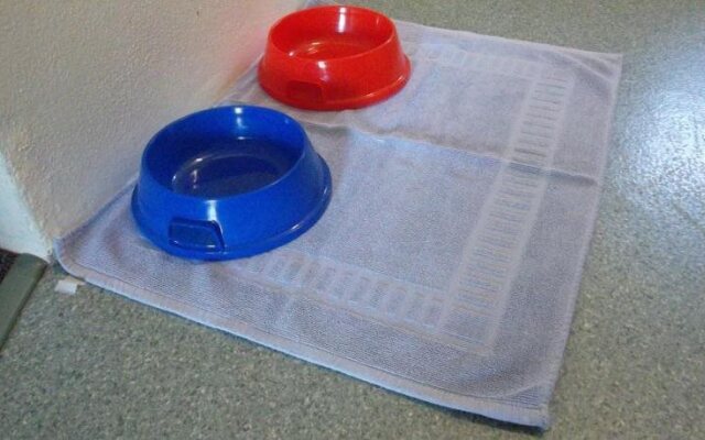 Kinka Palms Beachfront Apartments / Motel