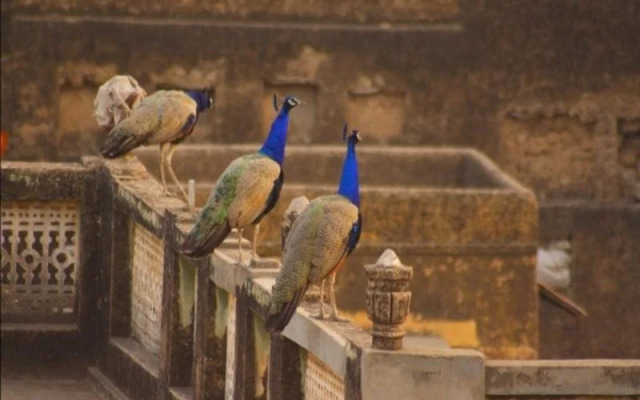 Hotel Ramgarh Fresco