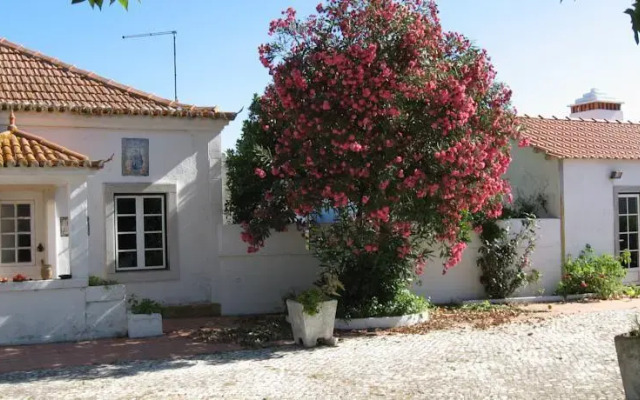 São Silvestre, Horse Farm