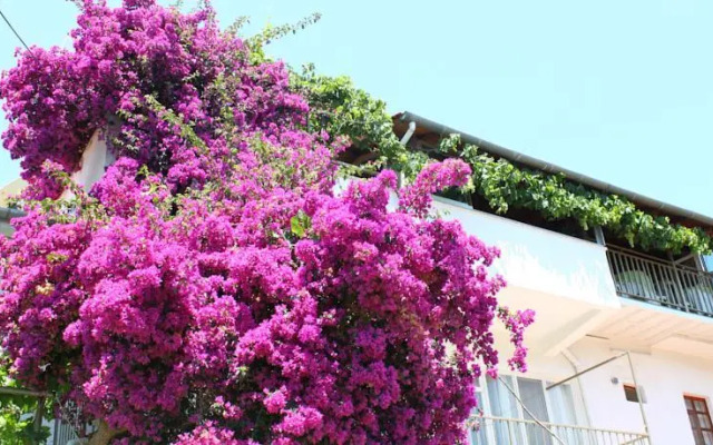 Rose Pension