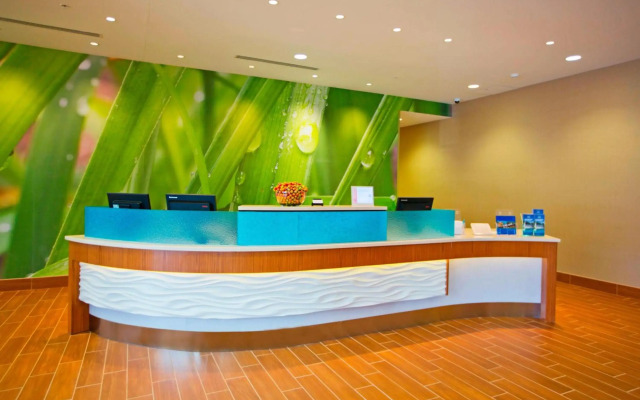 Springhill Suites by Marriott Pittsburgh Mt. Lebanon