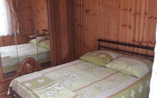 Guest House on Demerdzhipa 57