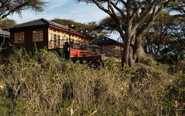 Ngorongoro Lions Paw