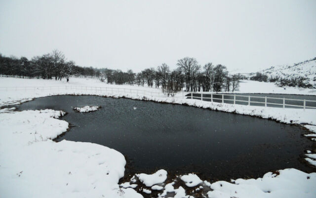 Oaklands Country Manor