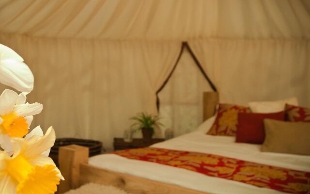 Plush Tents Glamping