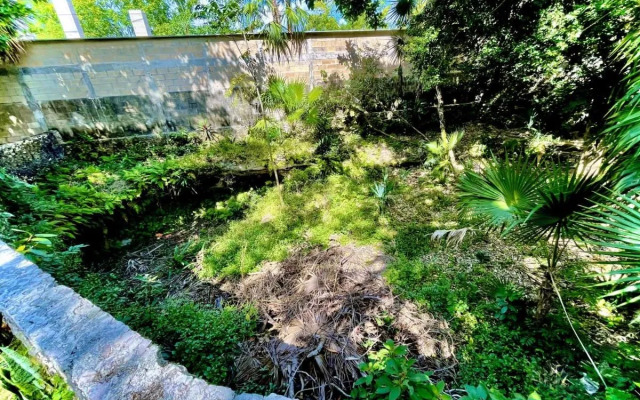 Hotel Tequila Cancun