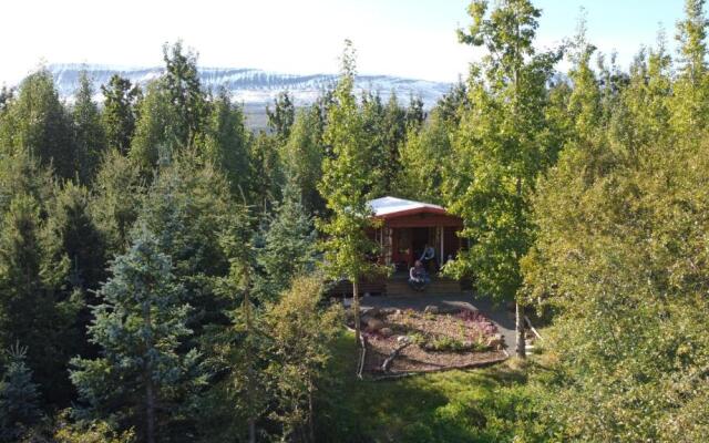 Bakkakot 1 - Cozy Cabins in the Woods