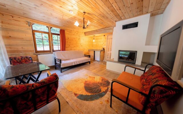 Abant İlbey Dağ Evi