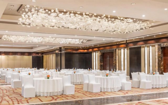 Radisson Blu Plaza Delhi Airport