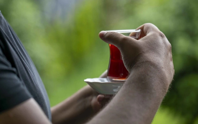 Alya Kartepe Villa Hotel