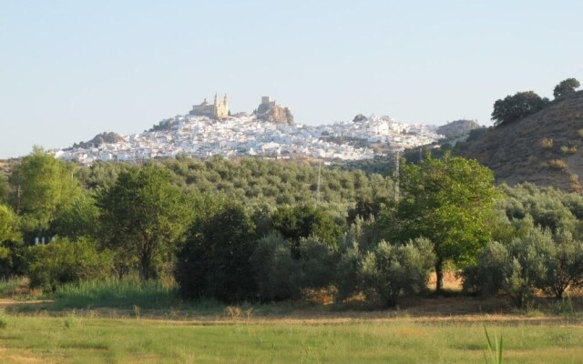 Rural Holiday Home With Pool Near Olvera, Ronda