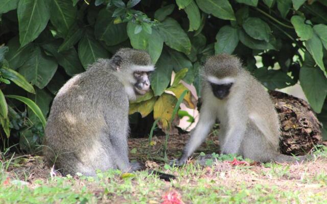 The Little Round House