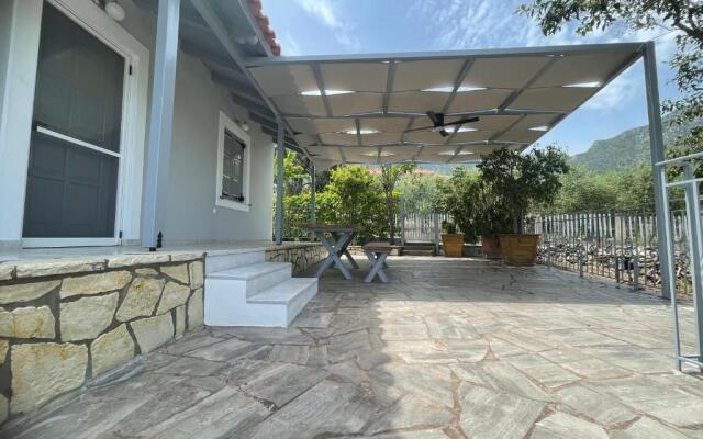 Aloni house