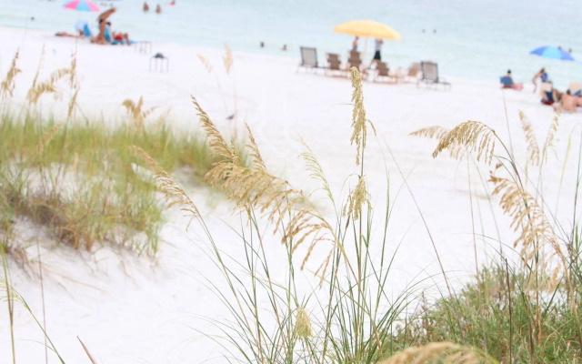 Beach Club at Siesta Key by RVA