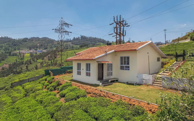 The springs Nilgiris