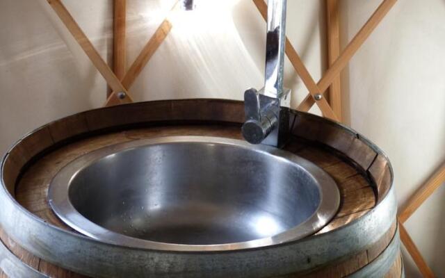 Les Carlines du Grand Bois