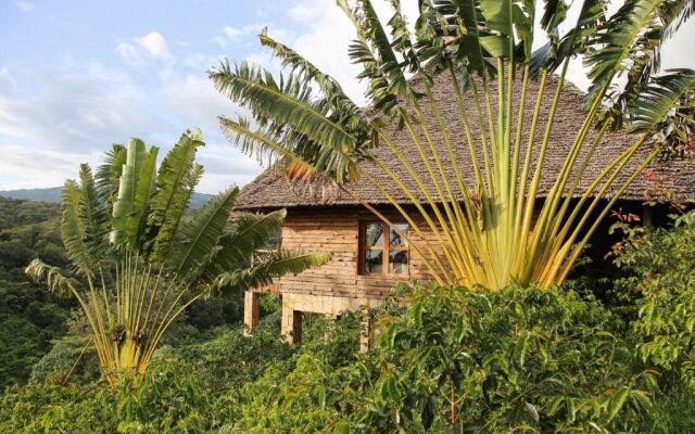 Neptune Ngorongoro Luxury Lodge