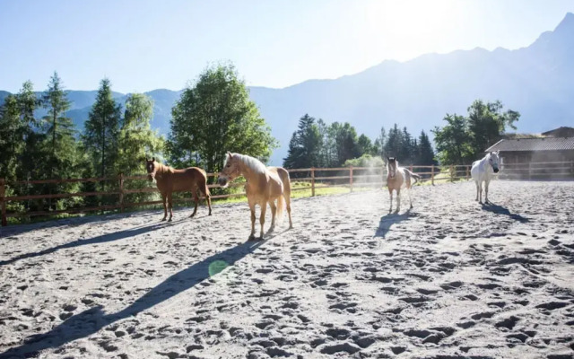 Holiday Home Chalet Astrid