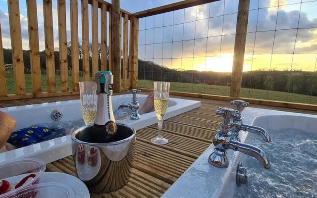Luxury Safari Lodge Surrounded by Deer!! 'fallow'