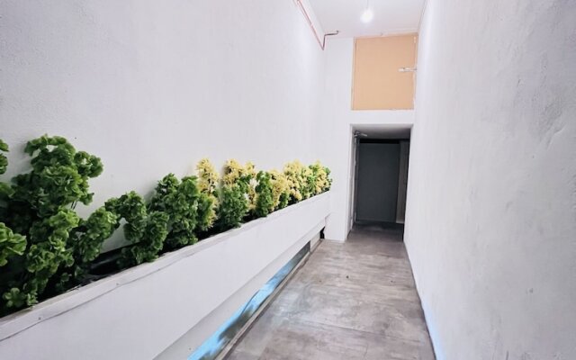 Private Boutique Apartments London