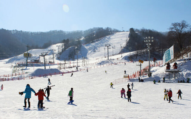 Pyeongchang Forest Hotel