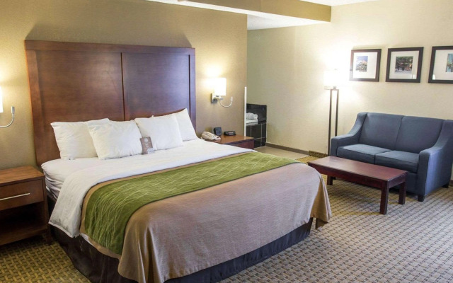 Comfort Inn Hammond
