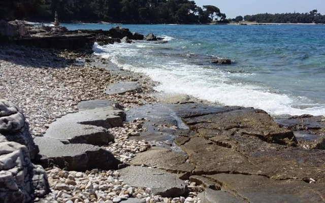 Studio Apartment Rosemary