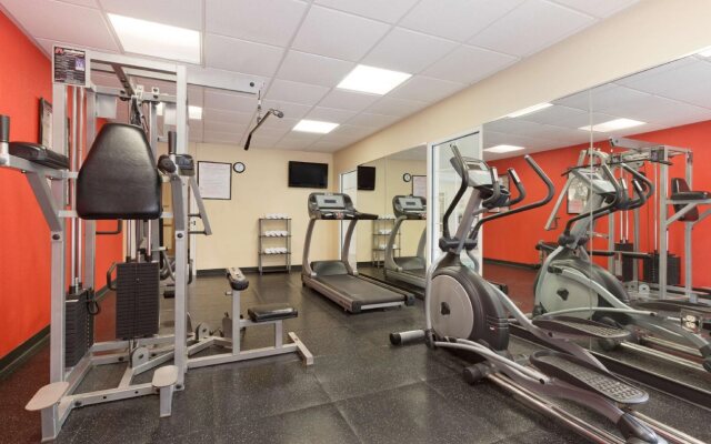 Spark by Hilton Sumter