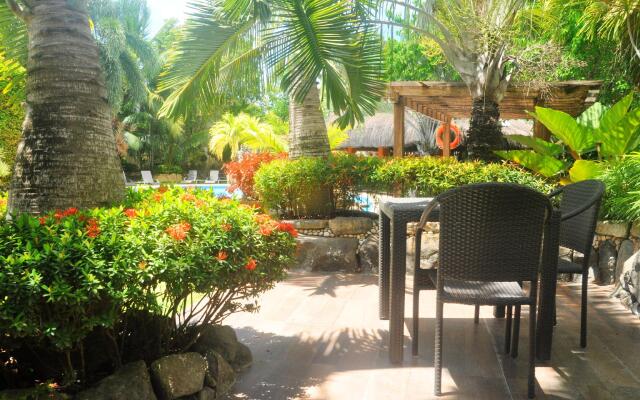 Alona Golden Palm