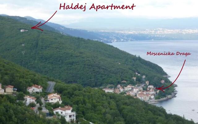 Apartment Haldej