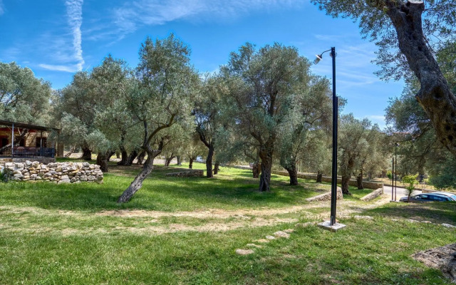 Stonehouse in Olives
