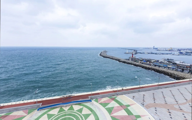 Regent Marine The Blue