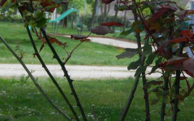 Gîte Couddes, 3 pièces, 6 personnes - FR-1-491-298