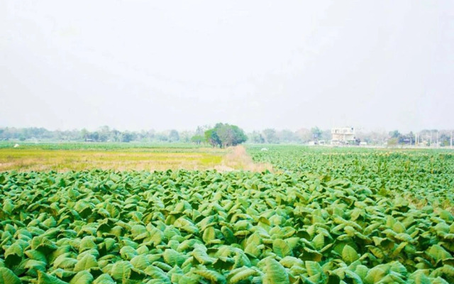 Le Kuna Farm Stay