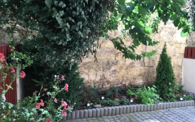 Apartments Lux in City Center Lviv