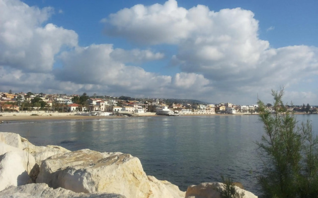 Acacia Marina