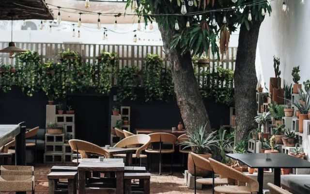 Drift San Jose del Cabo, a Member of Design Hotels