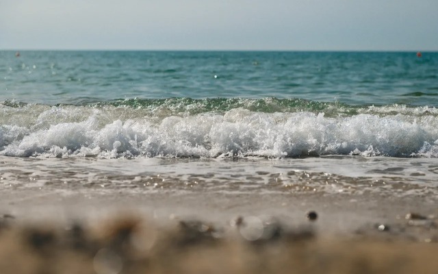 Полтава-Крым