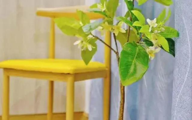 Fanshe Xiaozhu Homestay (Beihai High-Speed Railway Station)