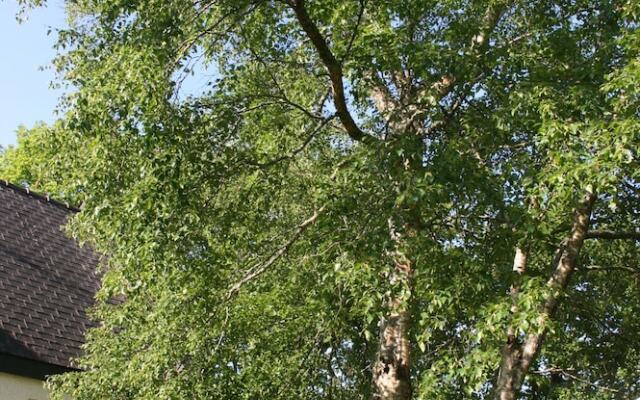 Les Charmes Bucoliques