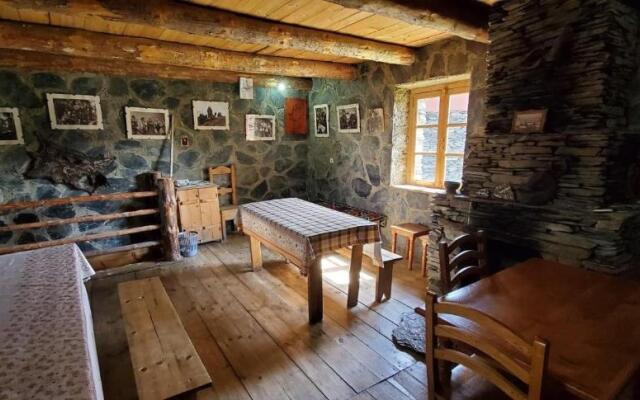 Guesthouse Tushetian Tower