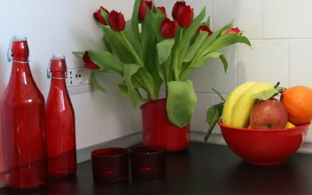 Red Studio Flat