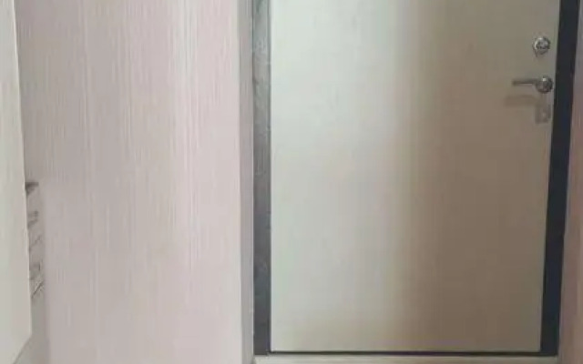 Апартаменты на улице Советская 43