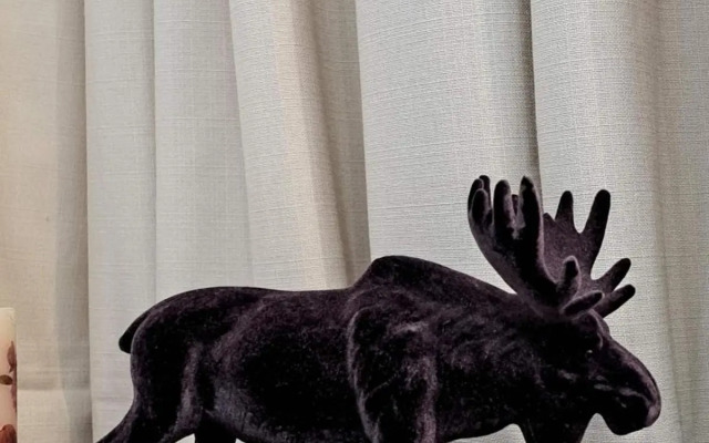 Winslow Highland Bansko - Apartment Giovanni, ул Валевица 7 кв Грамадето